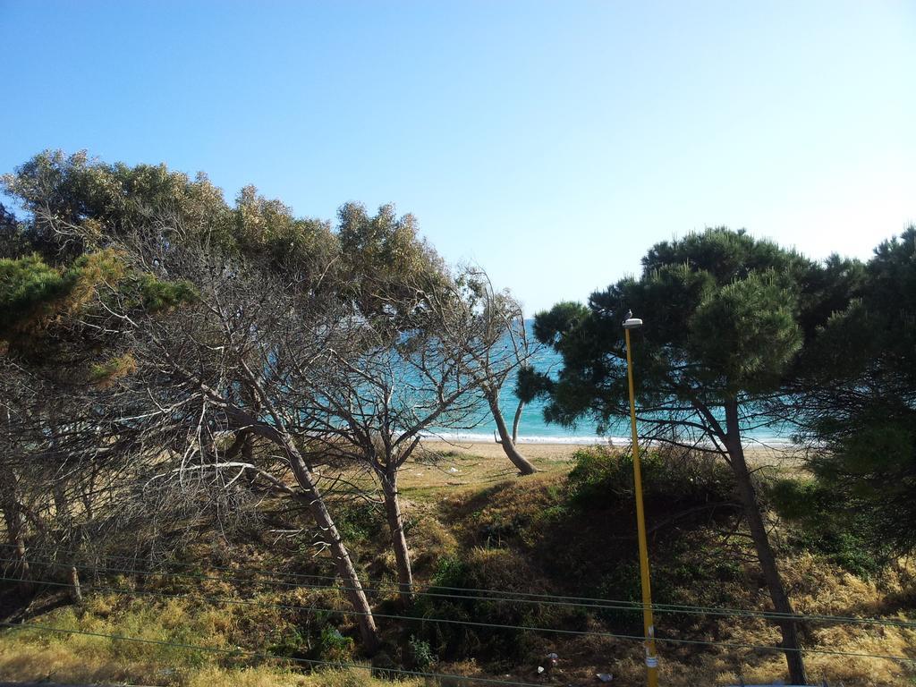 Sicilia Mare Apartments Сан-Леоне Номер фото